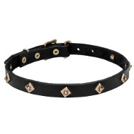 'Rhombi' Leather Dogue de Bordeaux Collar with Brass Decoration