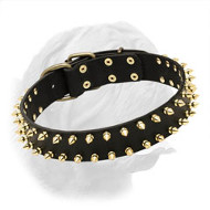 Leather Special Dogue de Bordeaux Collar With Golden-Like Spikes