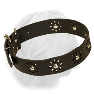 "Flower Blues" Adorable Dogue de Bordeaux Collar