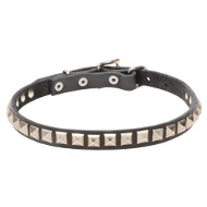 Elaborated Design Dogue de Bordeaux Collar with Chrome Plated Adornments