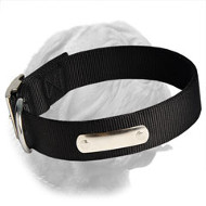 Nylon Practical Collar for Dogue de Bordeaux
