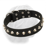 "Daily Elegance" Leather Dogue de Bordeaux Collar