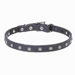 Leather Dogue de Bordeaux Collar with Nickel Plated Stars