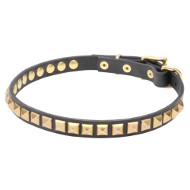 Narrow Leather Dogue de Bordeaux Collar with Brass Studs