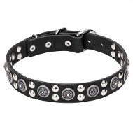 Leather Dogue de Bordeaux Collar with Silver-like Circles and Round Studs