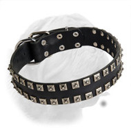 Fashionable Handcrafted Dogue de Bordeaux Collar