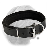 Leather Dogue de Bordeaux Collar with Thick Felt Padding
