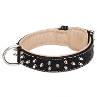Charming Dogue de Bordeaux Leather Spiked Collar