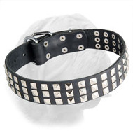 Leather Dogue de Bordeaux Collar with Steel Pyramids