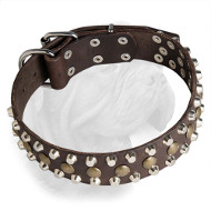 Fabulous Dogue de Bordeaux Decorated Leather Collar