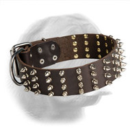 Spiked Dogue de Bordeaux Leather Collar