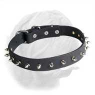 Elegant Leather Spiked Dogue de Bordeaux Collar