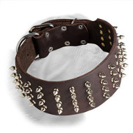 Extra Wide Dogue de Bordeaux Spiked Collar