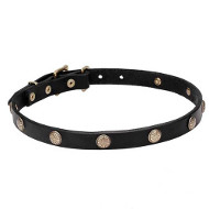 "Sunny Beams" 3/4 Inch (20 mm) wide Leather Dogue de Bordeaux Collar with Engraved Brass-Covered Studs