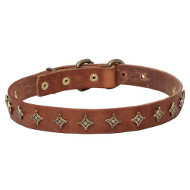 "Yellow Star" Narrow Leather Dogue de Bordeaux Collar