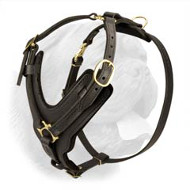 Luxury Handcrafted Leather Dog Harness with Brass Plated Hardware for Walking and Training Luxury Handcrafted Leather Dog Harness with Brass Plated Hardware for Walking and Training