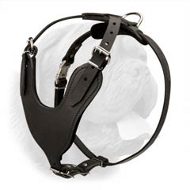 Heavy Duty Training Leather Harness for Dogue de Bordeaux