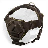 Functional All-Weather Nylon Harness with Chest Plate
