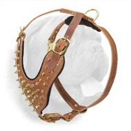 Leather Walking Harness for Dogue de Bordeaux with Brass Spikes