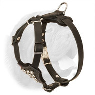 Fashionable Handcrafted Leather Harness for Dogue de Bordeaux Puppies