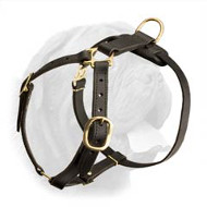 Dogue de Bordeaux Lightweight Leather Harness for Tracking and Walking Dogue de Bordeaux Lightweight Leather Harness for Tracking and Walking