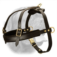 Tracking/Pulling Leather Dog Harness for Dogue De Bordeaux Tracking/Pulling Leather Dog Harness for Dogue De Bordeaux