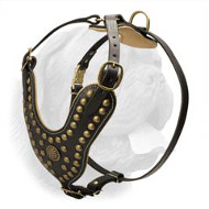 Imperial Style Leather Dog Harness with Brass Fittings for Dogue de Bordeaux  Imperial Style Leather Dog Harness with Brass Fittings for Dogue de Bordeaux