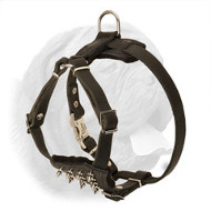 Incredible Spiked Leather Harness for Dogue de Bordeaux Puppies