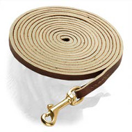 Best Leather Dogue de Bordeaux Leash for Tracking