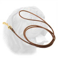 Perfectly Looking Round Leather Dogue de Bordeaux Leash for Dog Shows