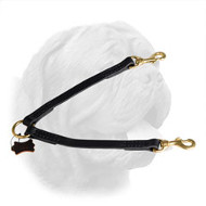 2 Dogs Easy Walking Dogue de Bordeaux Leather Coupler