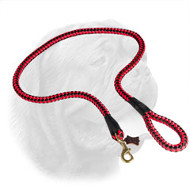 High Quality Extra Strong Cord Nylon Leash for Dogue de Bordeaux