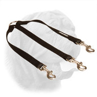 Nylon Coupler Dogue de Bordeaux Leash for Walking Three Dogs