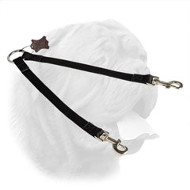 Practical Nylon Dogue de Bordeaux Coupler for Walking 2 Dogs
