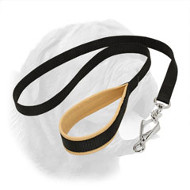 Comfortable Nylon Dogue de Bordeaux Lead with Padded Handle