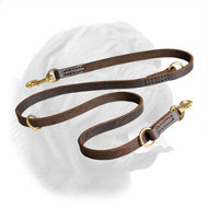Multipurpose Quality Leather Dogue de Bordeaux Leash