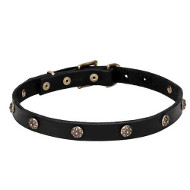 Leather Dogue de Bordeaux Collar with Engraved Round Studs