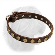 Gorgeous Leather Dogue de Bordeaux Collar With Dotted Circles