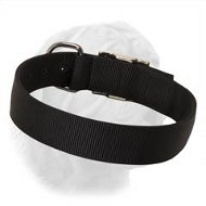2 Ply Nylon All-Weather Dogue de Bordeaux Training/Walking Collar