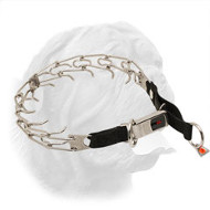 Herm Sprenger Stainless Steel Dogue de Bordeaux Prong Collar for Behavior Correction - 50026 10 (55) 1/8 inch (3.25 mm)