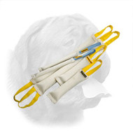 High Grade Training Set for Dogue de Bordeaux