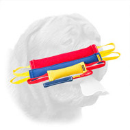 Great French Linen Bite Set for Dogue de Bordeaux