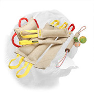 Fascinating Dogue de Bordeaux Set of Bite Tugs