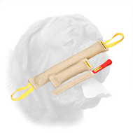 Wonderful Jute Training Set for Dogue de Bordeaux