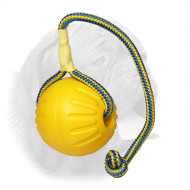 "High Fly" Dogue de Bordeaux Ball for Training and Playing - Large "High Fly" Dogue de Bordeaux Ball for Training and Playing - Large