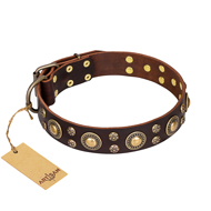 'Flower Melody' FDT Artisan Dogue de Bordeaux Brown Leather Dog Collar with Mixed Studs