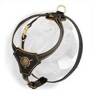 Royal Style Leather Harness with Brass Plated Decoration for Dogue de Bordeaux Puppies
