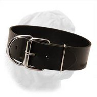Extra Wide Plain Design Collar for Dogue de Bordeaux