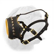 Open-Ended Nappa Padded Dogue de Bordeaux Leather Muzzle with Brass Studs Decoration