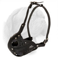 Axial Side Reinforcement Agitation Training Muzzle for Dogue de Bordeaux